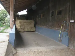 Offenstall   Einstellplatz f. braven Barhuf-Wallach frei (gegen Mithilfe) Bild 7