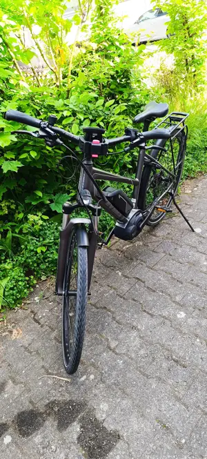 Damen E Bike Firma Stevens  Bild 3