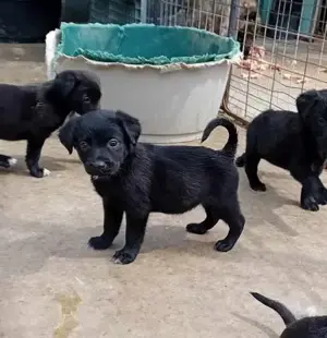 süße Serena sucht tolle Familie