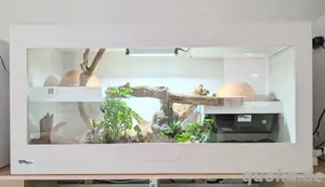 Terrarium buddys.snakes 140x60x70 cm mit Technik- Paket (Sonderpreis!!!)