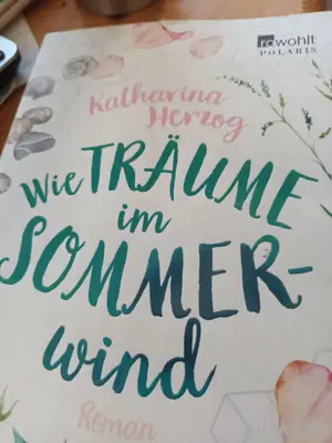Buch  zu verkaufen  liebes Roman 