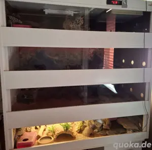 Kunststoff terrarium 4etagen 120er