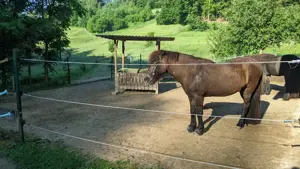 Stellplatz Offenstall ab sofort frei für Kleinpferd bis 1,50 Stm