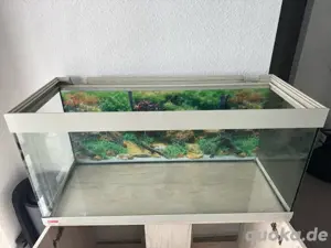 eheim Aquarium Bild 3