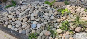 Flusssteine Wackersteine Kiesel zu verschenken 