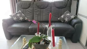 Leder-Sofa 3-Sitzer neuwertig 