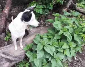 Palina - was fehlt bist du Bild 7