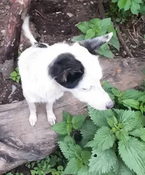 Palina - was fehlt bist du Bild 10