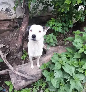 Palina - was fehlt bist du Bild 9