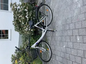 Prophete Cityrad CC 200 28" Damen 3-Gang 
