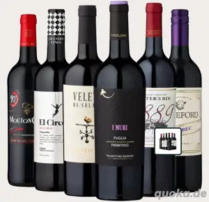 6x Top-Rotwein Wein Sortiment aus aller Welt 