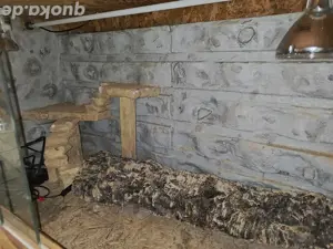 OSB Terrarium zu veekaufen
