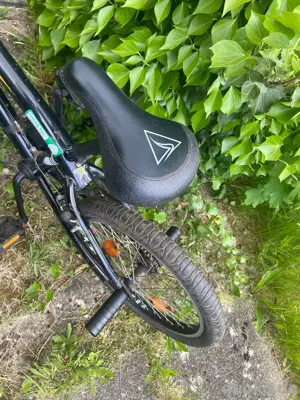 BMX 20 zoll