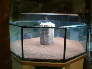 RESERVIERT: Geräumiges 8-Eck-Becken als Aquarium, Terrarium oder Hochbeet Bild 3