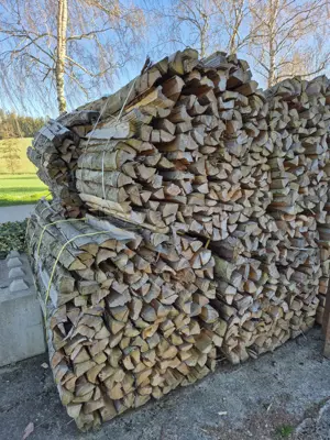 Brennholz, Feuerholz, Kaminholz