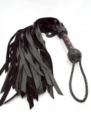 Suche SM Master Domina