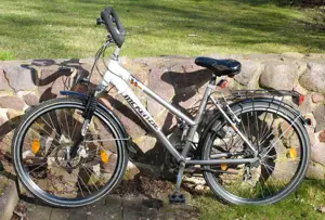 21-Gang Trekking Unisex Fahrrad Mckenzie 26 Zoll