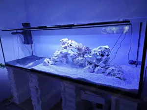 720 Liter Aquarium zuverkaufen 