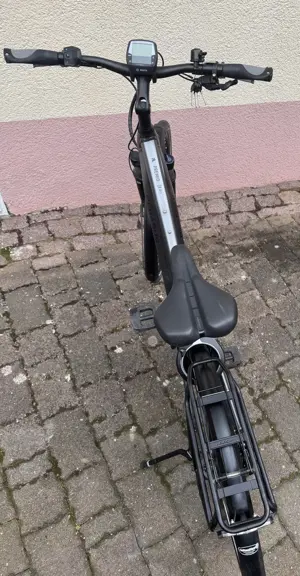 Pegasus E-Bike Premio Evo 10 in Trapezform