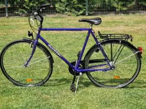 Herrenfahrrad Gudereit 28 Zoll   7 Gänge Bild 4