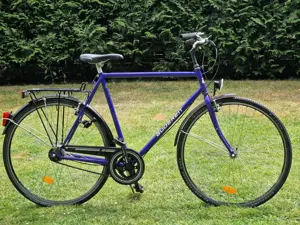 Herrenfahrrad Gudereit 28 Zoll   7 Gänge Bild 2