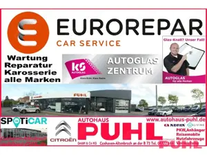 Citroen C4 e-C4 Shine Navi,Kamera,6 Warner,Sitzh.Lenkheiz. Bild 4
