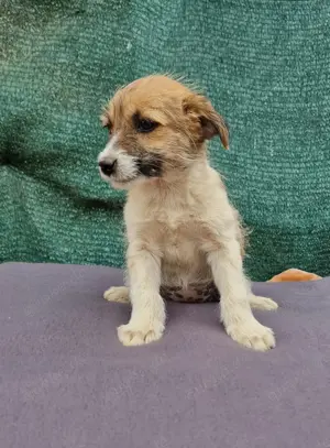 Sofie ein kleines tolles Mädchen 
