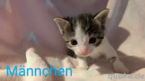 alle reserviert 