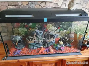 Aquarium 80Liter