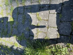 Zusehen und Taschengeld kassieren! Kein Fake  
