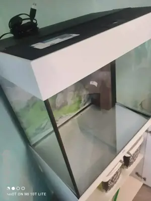 Aquarium 125L Bild 1