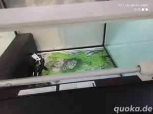 Aquarium 125L Bild 3