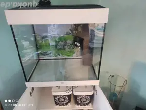 Aquarium 125L Bild 2