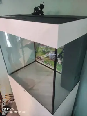 Aquarium 125L Bild 5