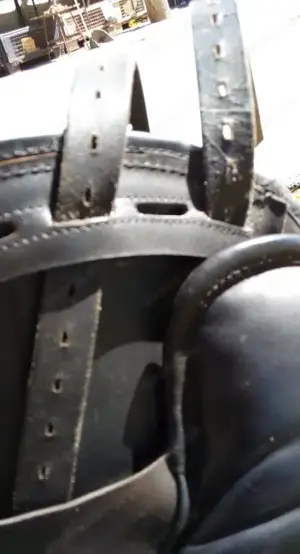 Wanderreitsattel Signum Omega Lotus Vario (verstellbar) für große Reiter Bild 5