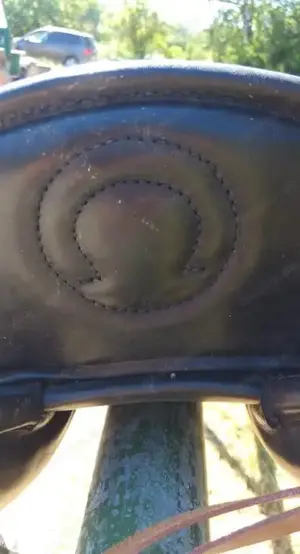 Wanderreitsattel Signum Omega Lotus Vario (verstellbar) für große Reiter Bild 6