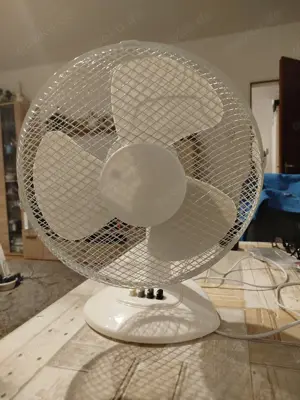 Ventilator: Tischventilator 