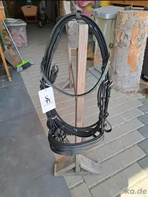 ponytrense 