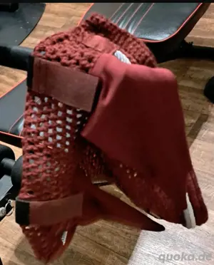 Pony Fliegenohren 