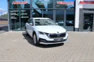 Skoda Octavia Combi Scout 4x4 AHK LED Standheizung