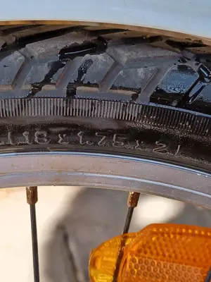 Kinderfahrrad Bild 2