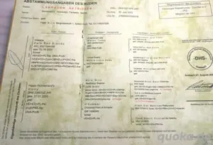 Labradorwelpen mit Familienanschluss aus liebevoller Hobbyzucht auf dem Bauernhof Premium Aufzucht Bild 4
