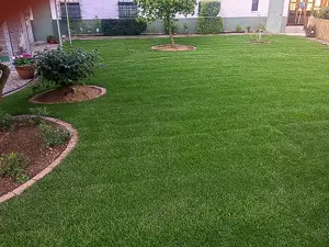 Jetzt Frühlingssparpreise! Rasenneuanlage (u.a. Fertigrasen) und Pflege Bild 2