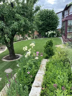 Jetzt Frühlingssparpreise! Gartenpflege, Baum- und Heckenschnitt