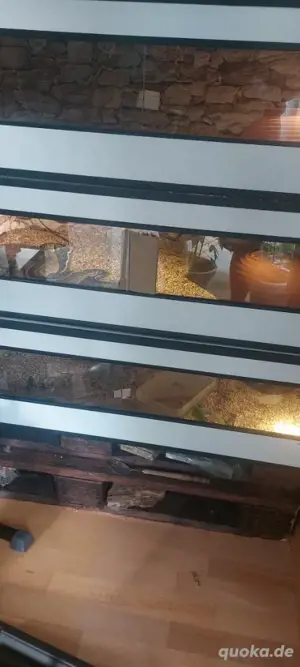 3 racks mit heatpanel und zubehör 