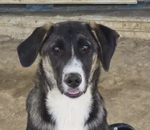  Wilma ist die Schwester von Elvis