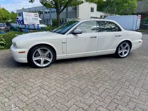 Jaguar XJ8 Bild 3