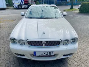 Jaguar XJ8 Bild 4