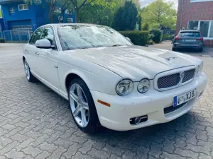 Jaguar XJ8 Bild 2