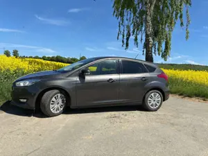 Ford Focus Focus 1.5 EcoBoost Start-Stopp-System Business Edi